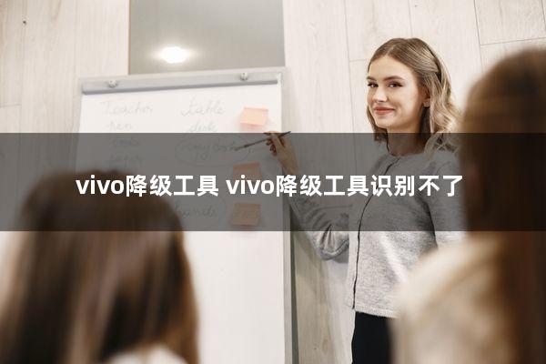 vivo降级工具(vivo降级工具识别不了)